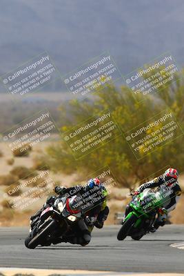 media/Apr-10-2022-SoCal Trackdays (Sun) [[f104b12566]]/Turn 5 Tree of Life (1040am)/